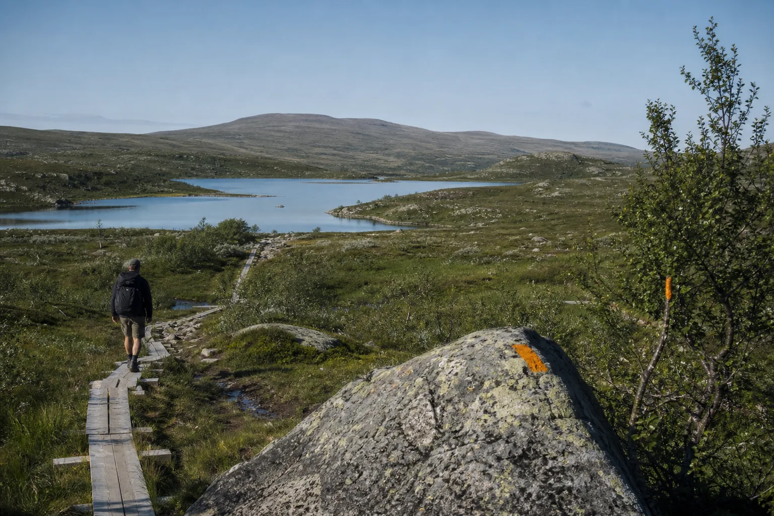 Mjuka fjällhedar och sjöar i Grövelsjöfjällen under en klar sommardag